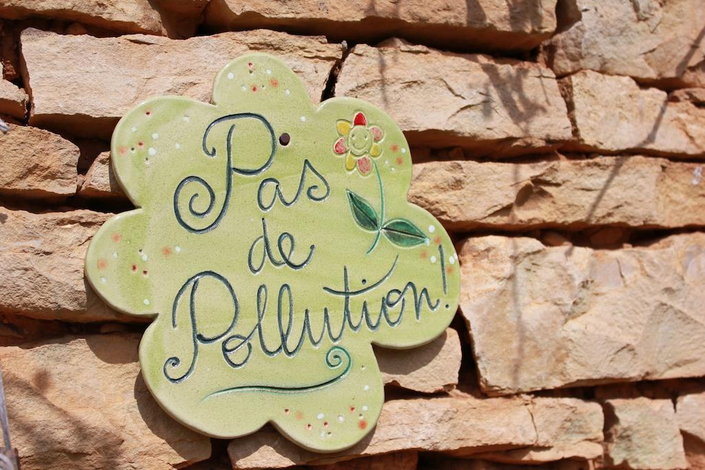 La Bicyclette Fleurie Bed and Breakfast Villemoirieu Exterior foto
